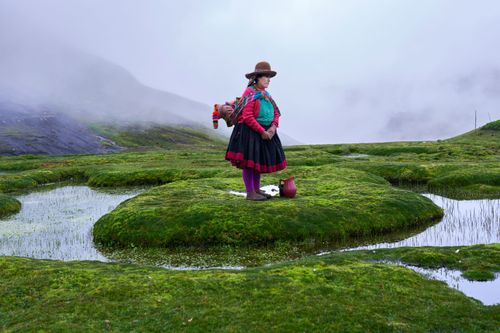 Peace Corps Beginning Aymara: A Course for English Speakers