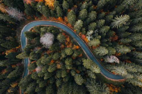 FSI Serbo-Croatian Basic Course