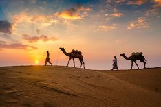 DLI Arabic East Asia Course