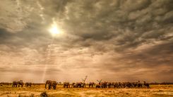 Peace Corps Botswana Language Lessons