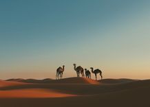 Peace Corps Arabic-Chadian Language Course