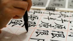 DLI Chinese Flameric Reader Course