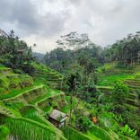 DLI Indonesian SOLT Course