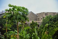 Peace Corps Lingala Language Course