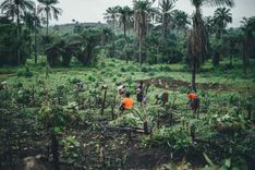 Peace Corps Mende Language Course