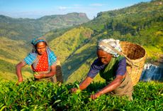 Peace Corps Sinhala Language Course