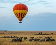 FSI Swahili: an active introduction course