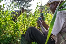 Peace Corps Bassar Language Lessons
